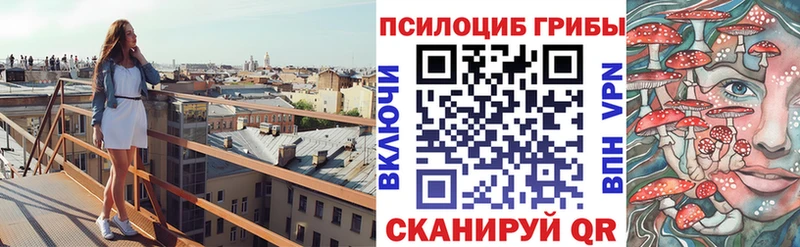 Галлюциногенные грибы Psilocybine cubensis  omg как войти  Дальнегорск 